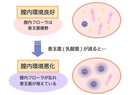 処女 臭い|処女だけど膣が臭う！原因と対処法 .